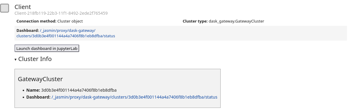 A screenshot of the client object on a JASMIN training account.